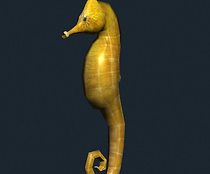 3DRT - Sealife - Seahorse