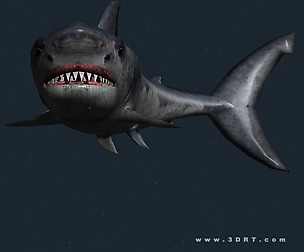 3DRT - Sealife - Shark