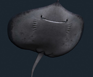 3DRT - Sealife - Stingray