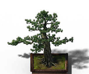 Alchemy - experience tree 05