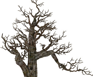 Plant - wind are grass dead tree 06