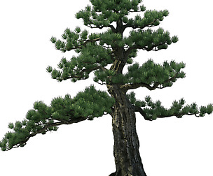 Alchemy - experience tree