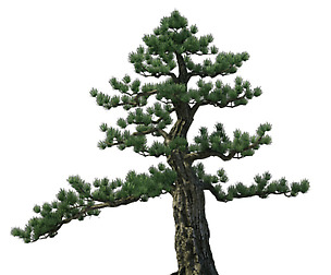 Alchemy - experience tree 02