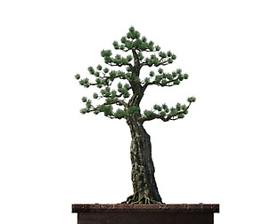 Alchemy - experience tree 03