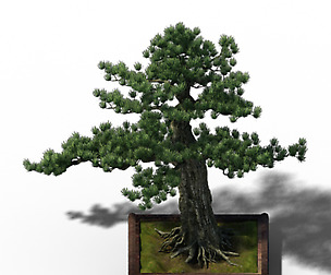Alchemy - experience tree 04