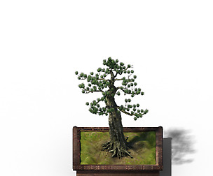 Alchemy - experience tree 06