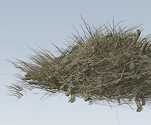 Beaver Den