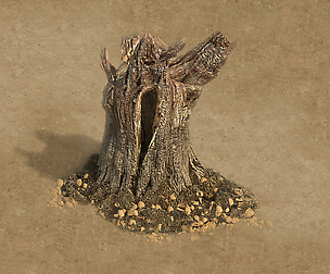 Desert - dead roots 03