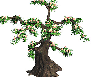 Plant - Peach 033