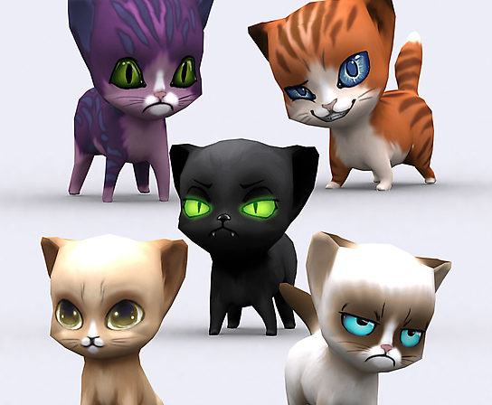 Collection