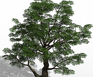 Horde Plants - Big Trees 01
