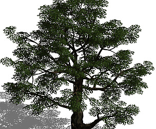 Horde Plants - Big Trees 02