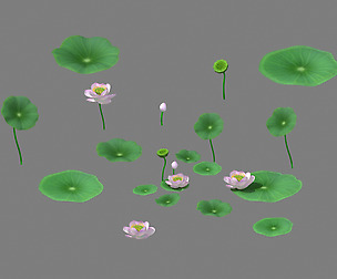 Lake - Lotus 01