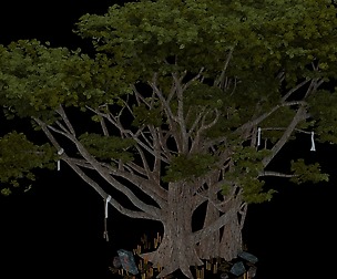 Maya Forest - Big Tree 043