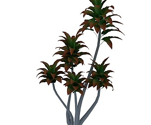 Mount Cliff - Small Plant 03