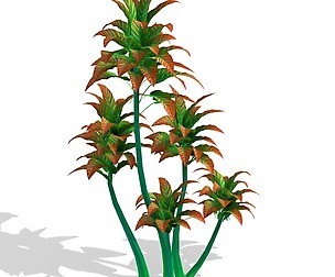 Mount Cliff - Small Plant 05