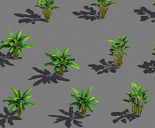 Daughter village - banana tree