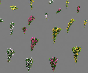 Daughter village - hanging flowers