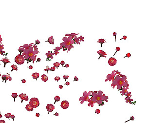 Daughter village plant - falling peach 01