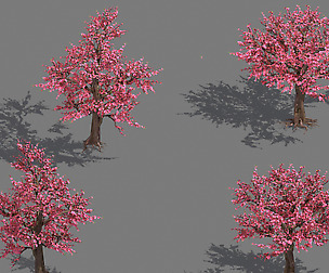 Daughter village plant - peach tree 032