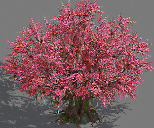 Daughter village plant - center big peach tree 01
