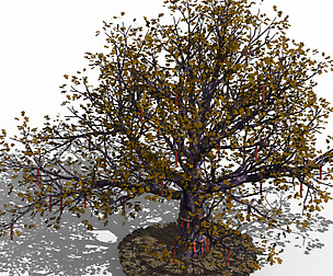 Prayer tree 01