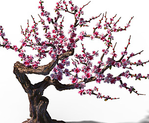 Peach Blossom Island - Peach Tree 01