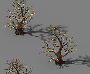 Peach Blossom Island - Plant - Big Trees 02