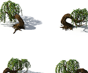 Peach Blossom Island - Plant - Willow 01