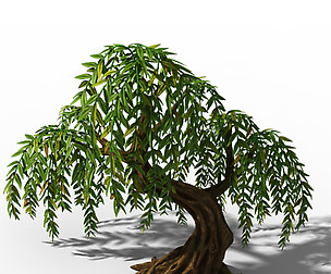 Peach Blossom Island - Plant - Willow 02