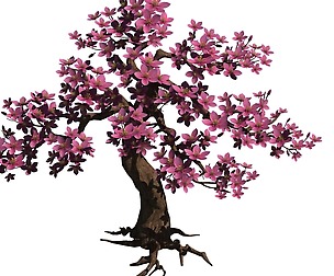 Peach tree 61
