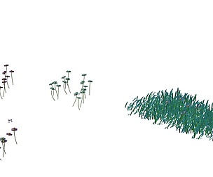 Snow plants - flowers 64