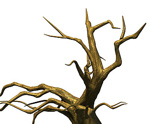 Fairy town - dead tree 2