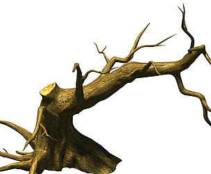 Fairy town - dead tree 4