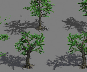 Welcoming pine 043