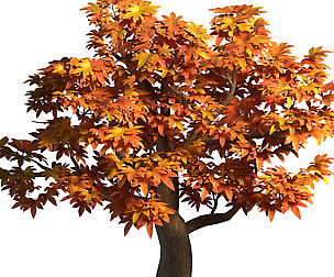 Game Model - Maple 014