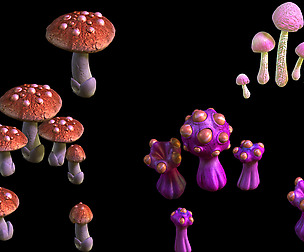 Game - Strange Mushroom Collection
