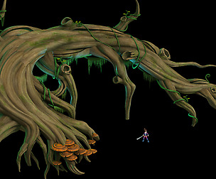 Virgin forest - long fern vines - big dry trunk
