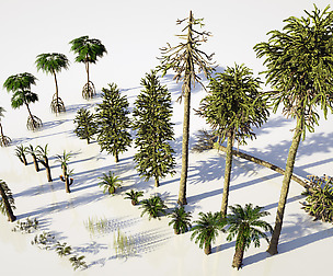 Prehistoric plants