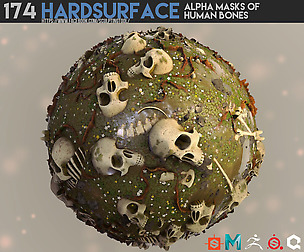 174 Hardsurface of human bones