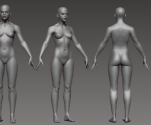 Realistic Young woman Base Mesh with Sculpt