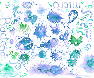 Bacteria characters collection