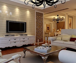 Fashion European living room 5154