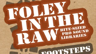 Foley: Footsteps & Bodyfalls cover