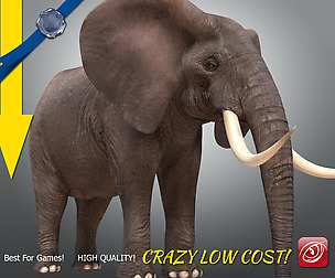 African Male Elephant A T-pose