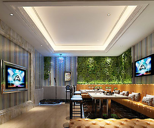 party bar ktv sauna design complete 132
