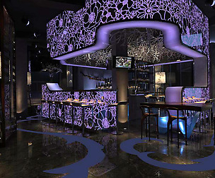 party bar ktv sauna design complete 176