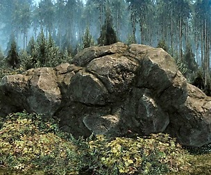 Forest Rock