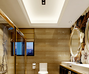 Family style sanitary bath toilet 1817