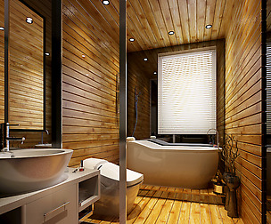 Family style bathroom toilet 1819